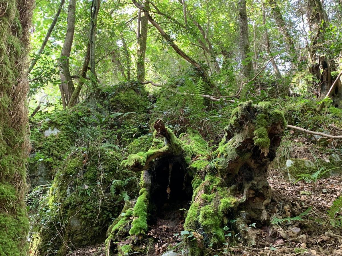 Agroturismo Urresti Gautegiz Arteaga Bagian luar foto