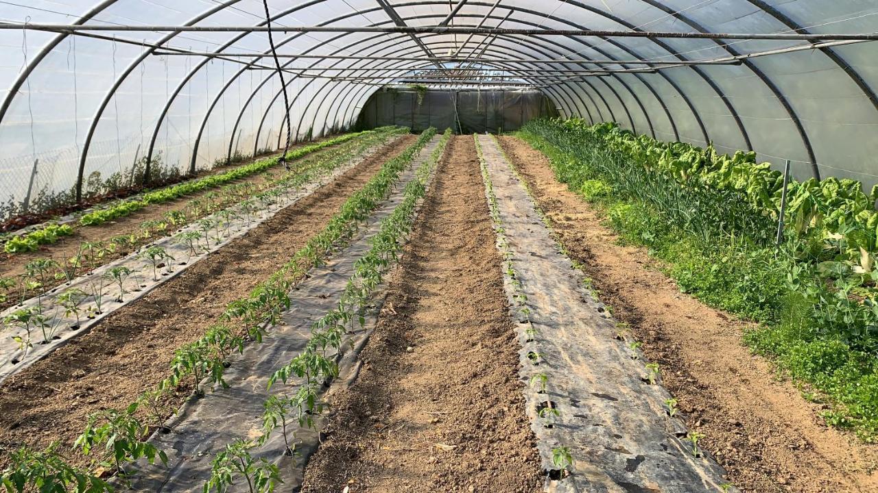 Agroturismo Urresti Gautegiz Arteaga Bagian luar foto