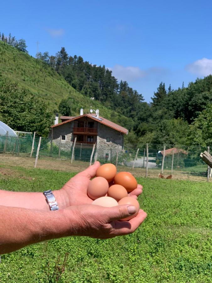 Agroturismo Urresti Gautegiz Arteaga Bagian luar foto