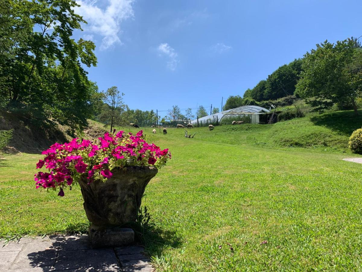 Agroturismo Urresti Gautegiz Arteaga Bagian luar foto